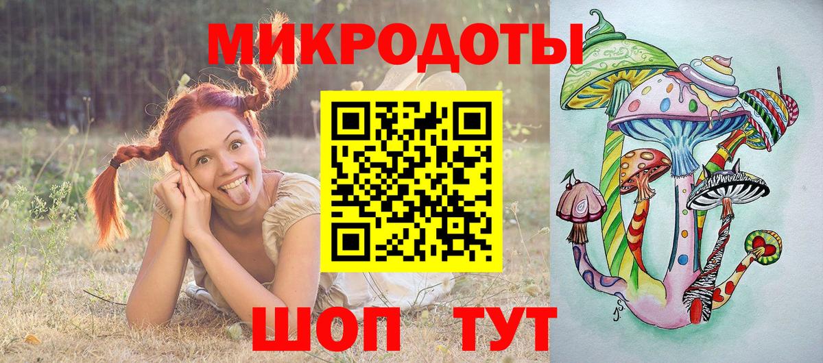 Галлюциногенные грибы Psilocybe Лобня